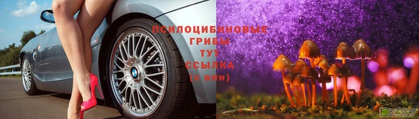 таблы Алексин