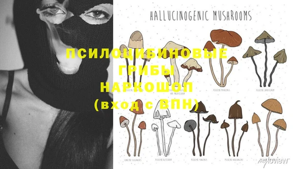 каннабис Аркадак
