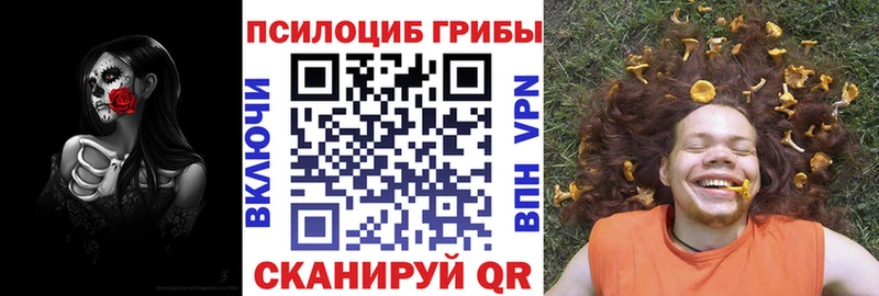 Псилоцибиновые грибы Psilocybine cubensis  Сочи 