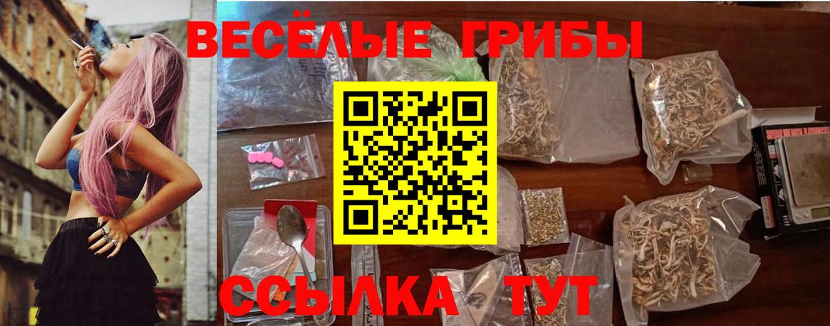 Сочи  Галлюциногенные грибы MAGIC MUSHROOMS  Вход с VPN 